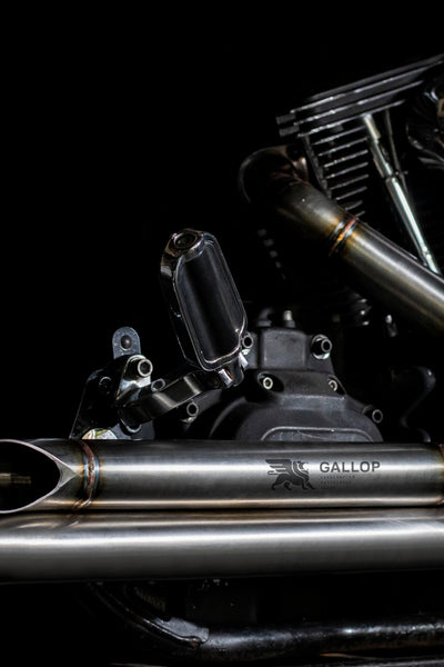The Slasher - Harley-Davidson 2 into 2 Exhaust