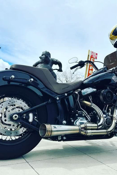 The Sleipnir - 2 into 1 Performance Exhaust for Harley-Davidson (TWIN CAM DYNA)ok