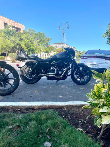 The Badlands - 2 into 1 Performance Exhaust for Sportster